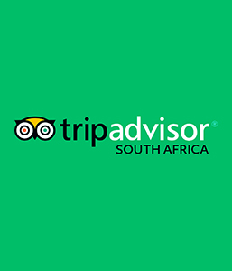 tripadvisor